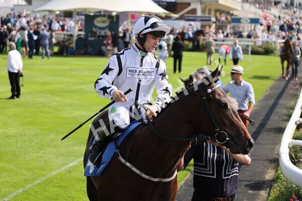 yr05092021r1-4 - Race 1 2.10pm IRE-Incentive It Pays To Buy Irish ebfstallions.com Novice Stakes