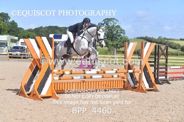 BPP_4460 - CLASS 2  Club/ Unaffiliated 80cms Open