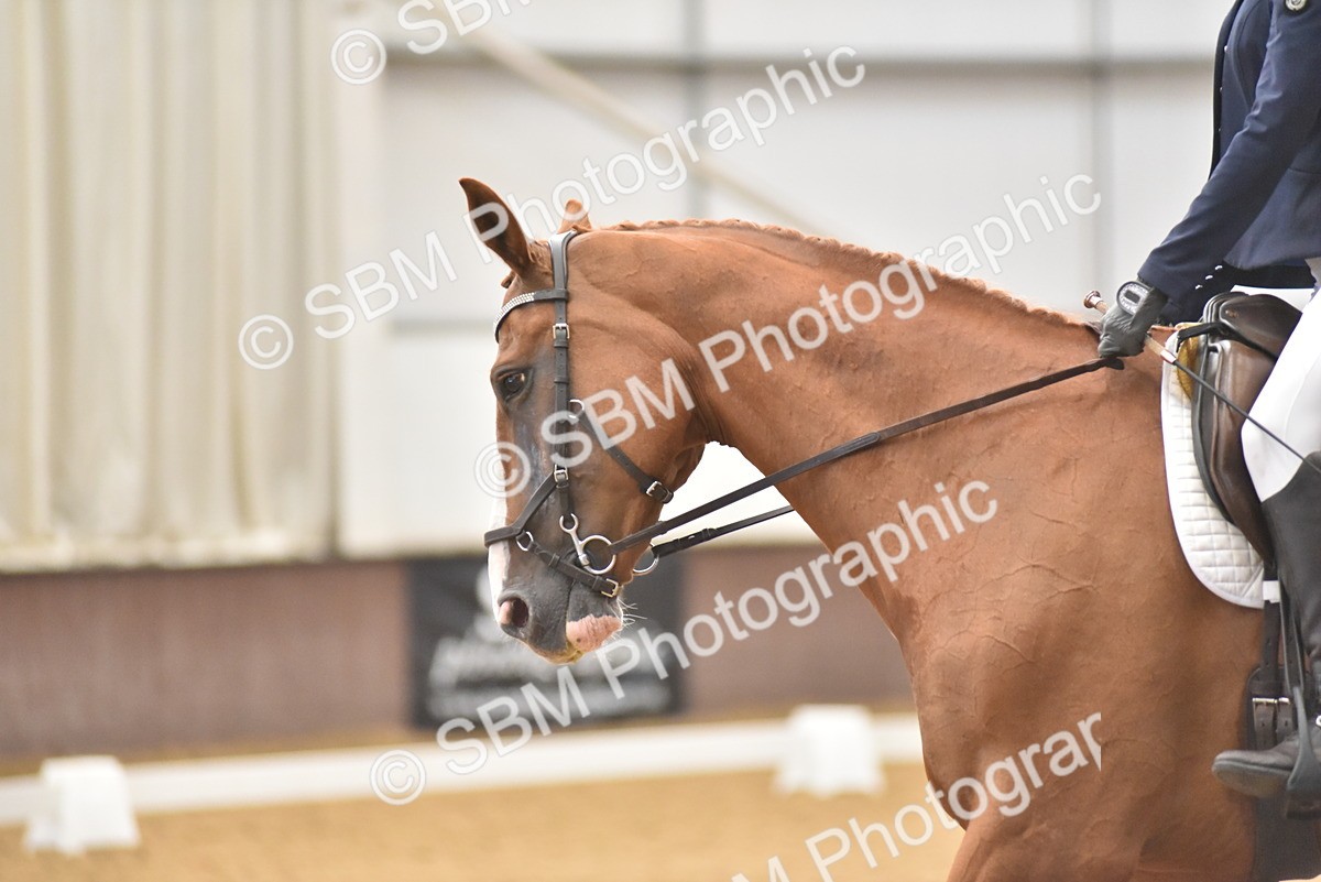 SBM_010710 - Class 5 - Prelim 5