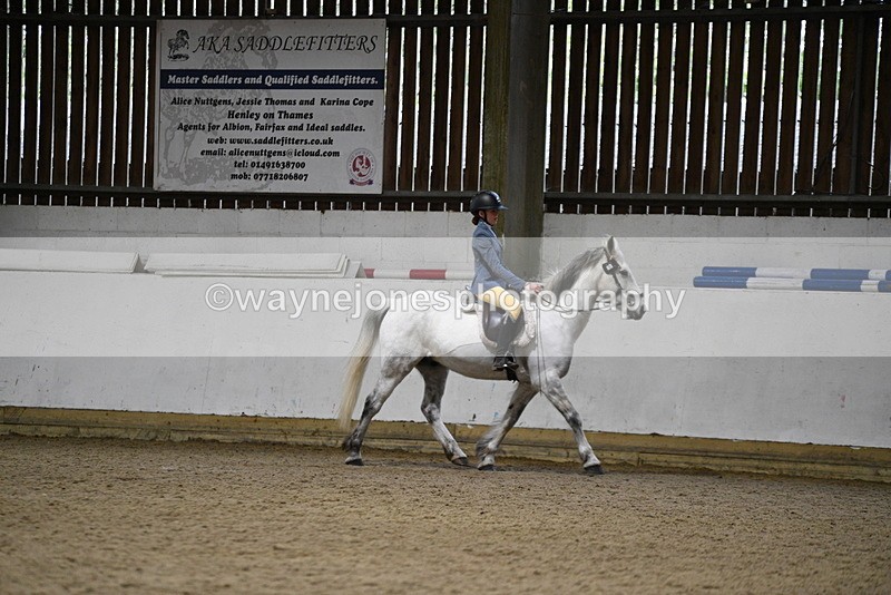 WJ5_8172 - Class 14 Novice Ridden/Rider