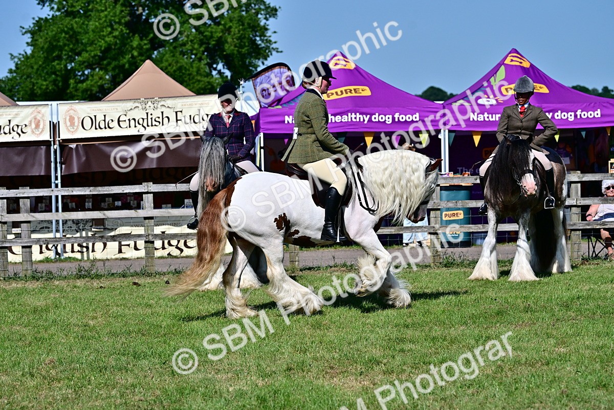 SBM_19447 - Class 101-102 - BSPS LIHS Performance Coloured Horse/Pony