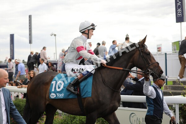 yr19082022r5-14 - Race 5 4.10pm Assured Data Protection EBF Fillies' Stakes