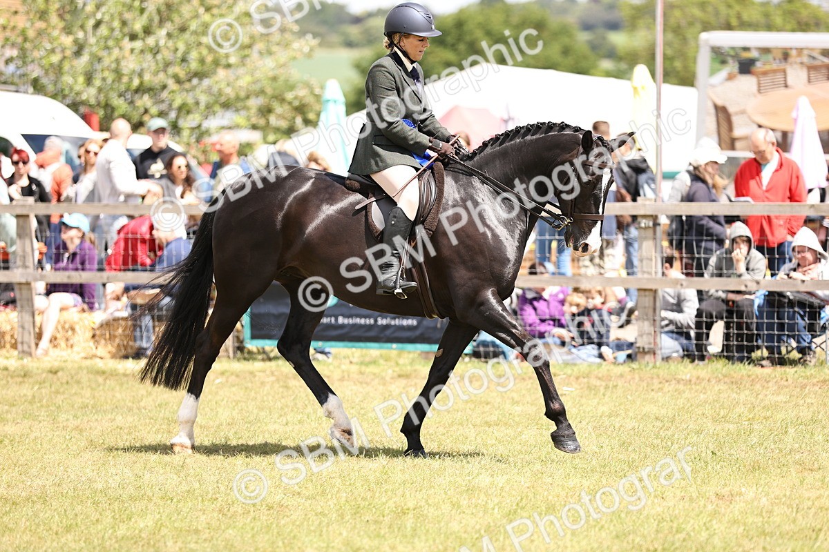 SBM_14777 - Class 88-89 - LIHS BSHA Rising Star of Ridden Hunter Type