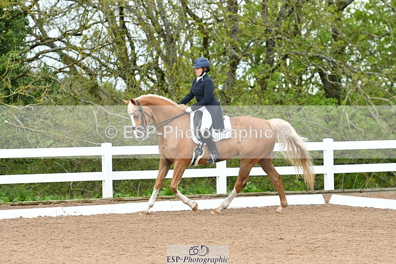 230511A-160358-01285 - BD Cls 18 FEI PSG