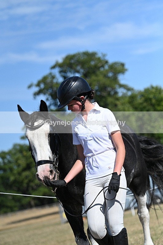 WJ7_1810 - Class 43 Best Six Legs (In hand)