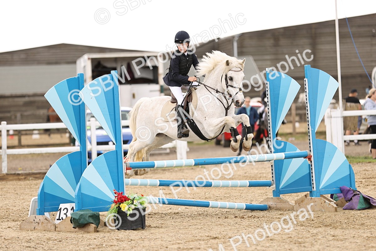 SBM_007168 - Class 2 - 80cm showjumping