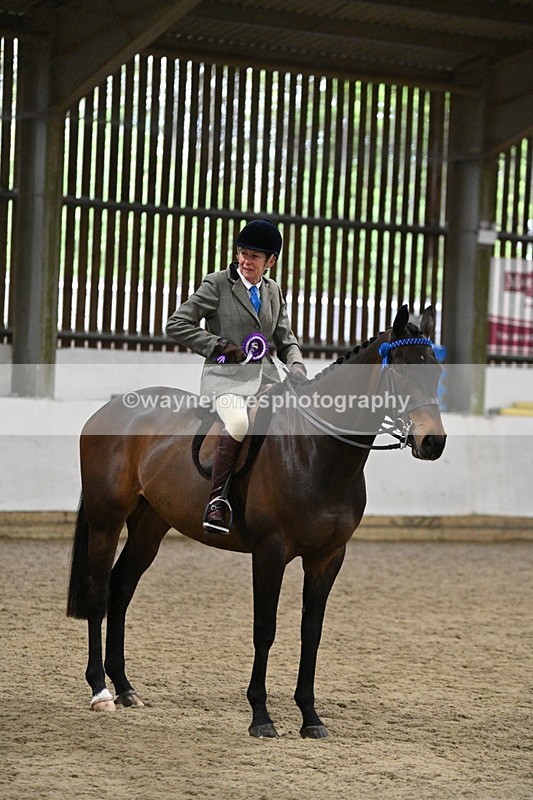 WJ7_4378 - Class 17 Ridden Cob