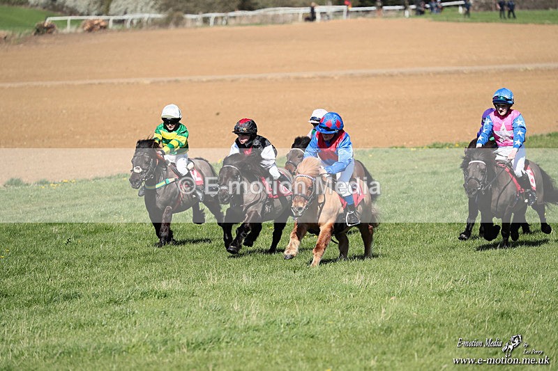Shet 060426 265 - Shetland Pony Racing Paxford Races Easter Mon 06/04/26