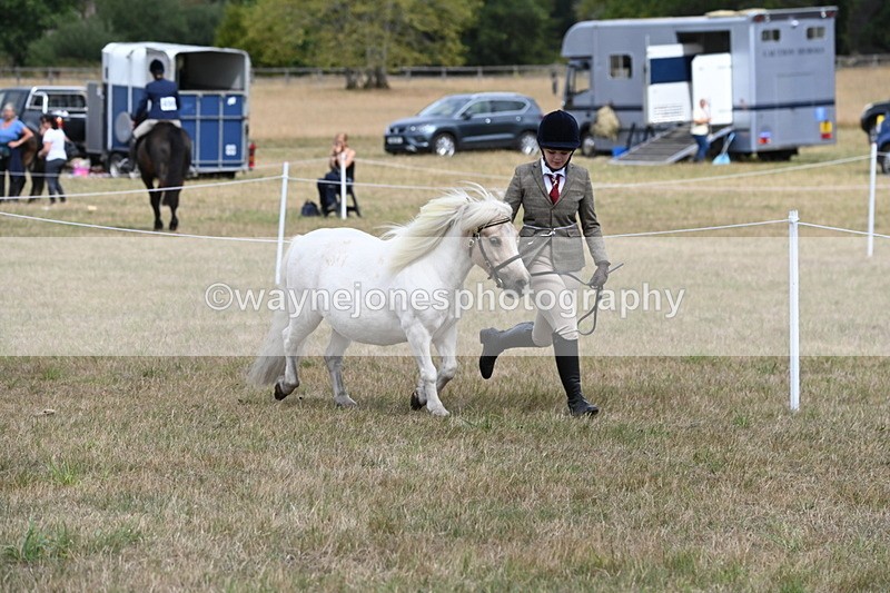 WJ6_5941 - Class 19 In-hand Veterans (Uploaded correct folder)