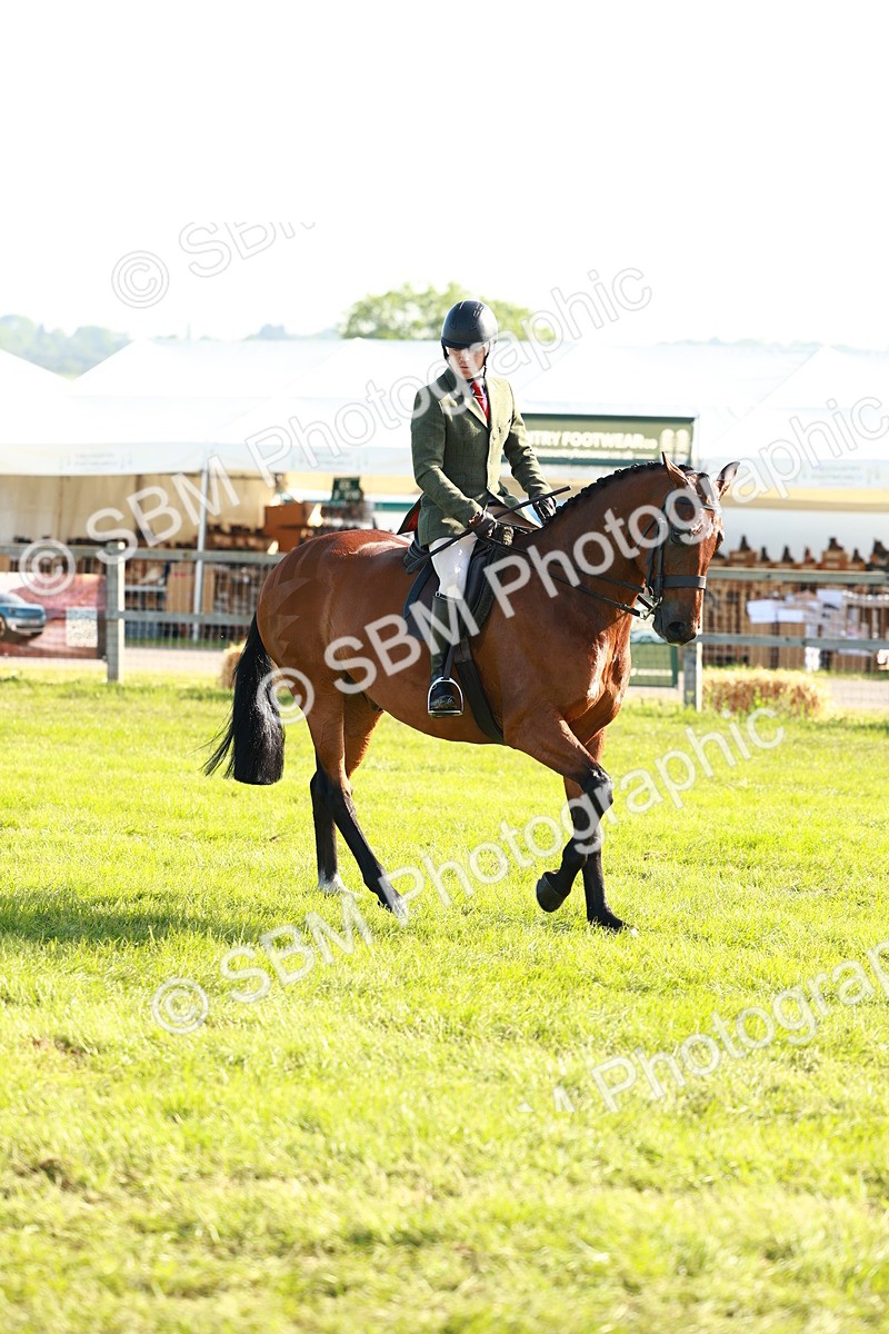 SBM_10757 - Class 66-69 - RIHS Ridden Hunters Inc Small Hunter