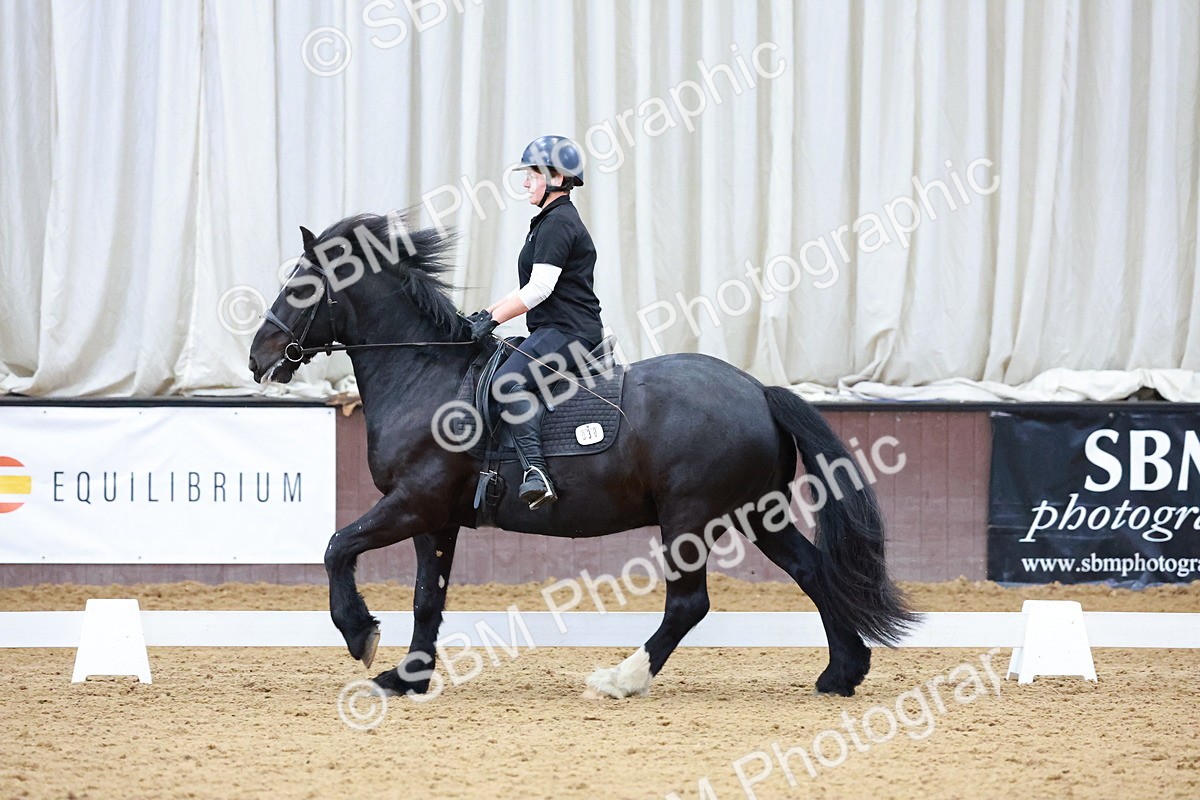 1I0A0802 - Class 3-6 - Prelim 1-Novice 2