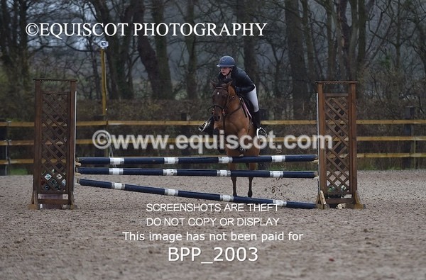 BPP_2003 - CLASS 18 STX-UK Pony BritiNovice / 0.80m Open