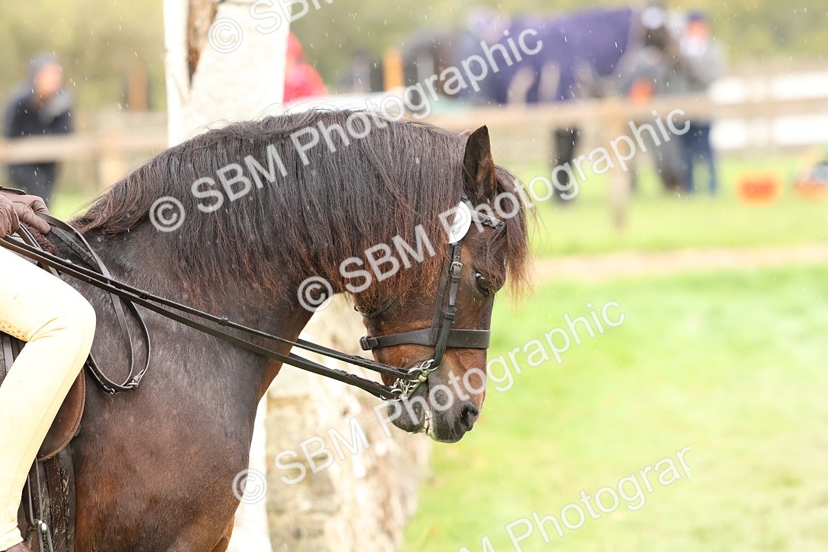 SBM_45060 - S27 - Young Veteran Ridden