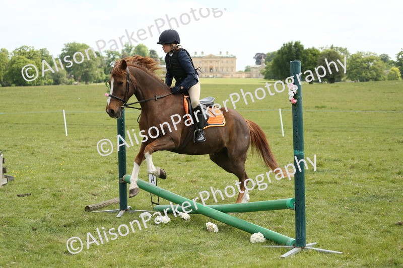 20250517-2921 - Class 25 - Horse & Hound