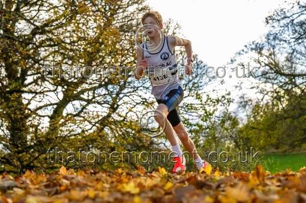 NatRel25-914534 - Young Male Set Two