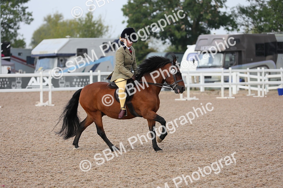 SBM_09619 - Class 301 Ridden M&M -Small Breeds