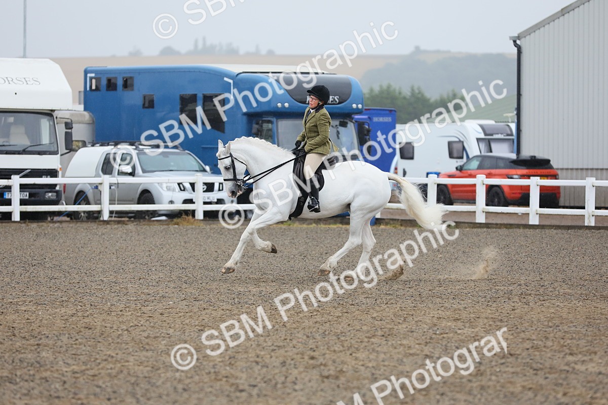 SBM_20327 - Class 803 - Ridden Combination 65+