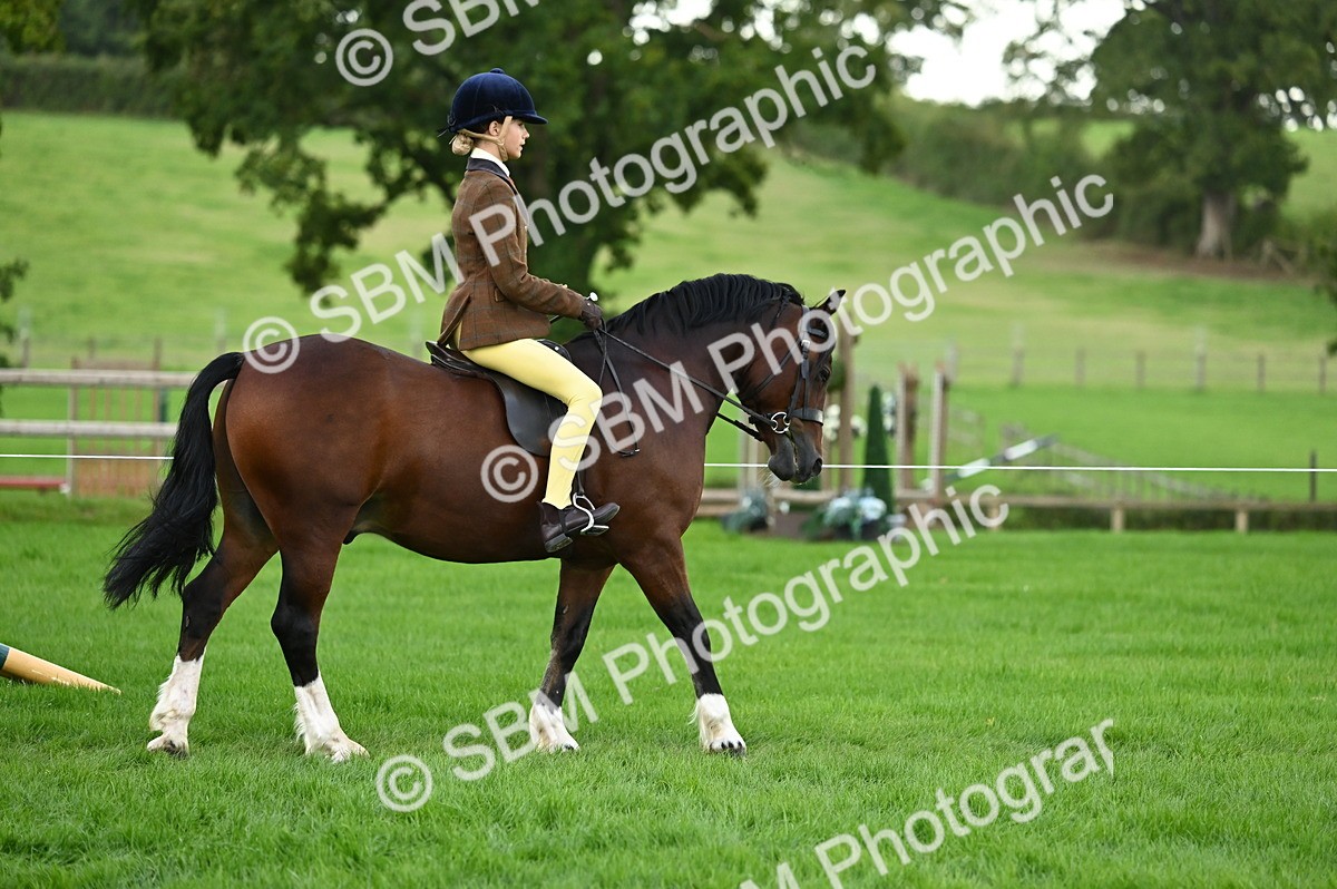 SBM_26546 - S7 - Novice & Newcomer Ridden Pony