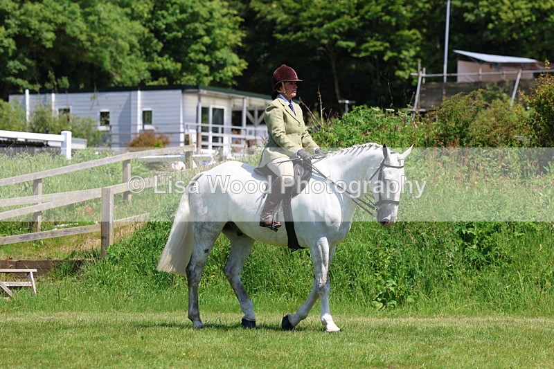 3E7A8164 - Class 13: Ridden Hunter