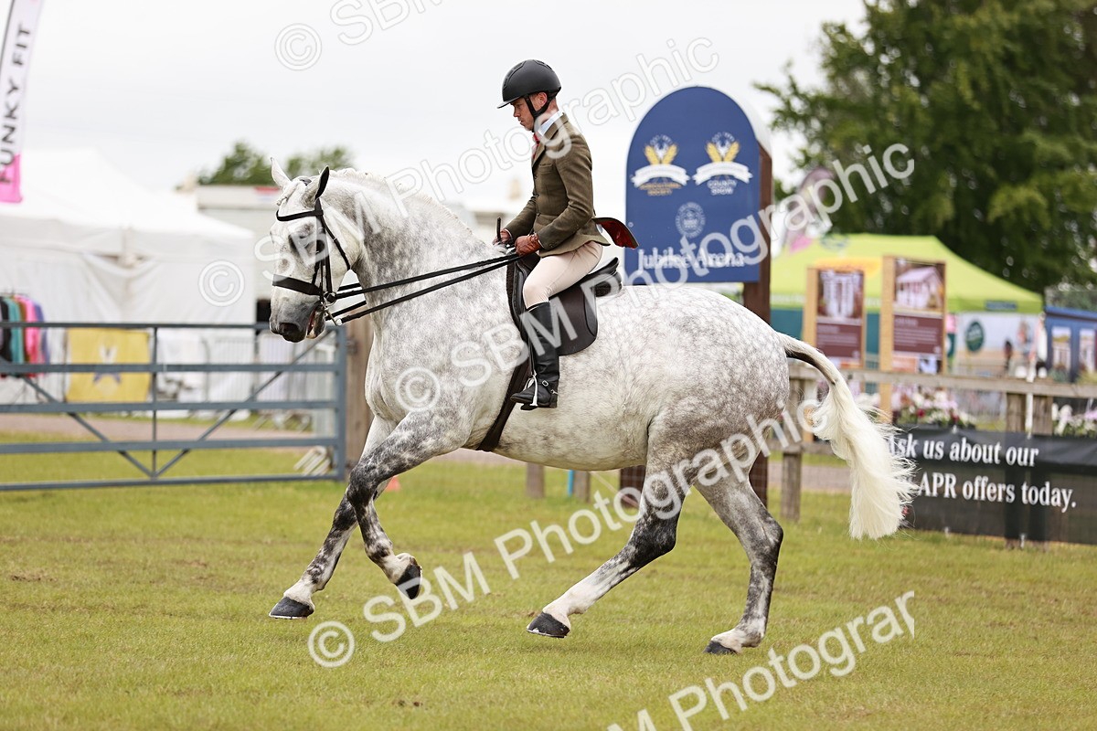 SBM_10932 - Class 81-84 - RIHS Ridden hunters Inc Ladies Hunter