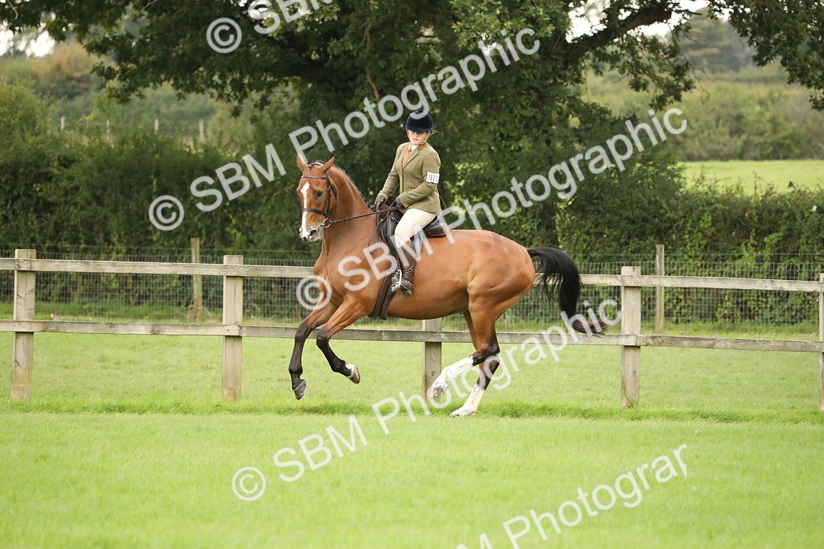 SBM_73734 - S41 - Ridden Equitation (Best Rider)