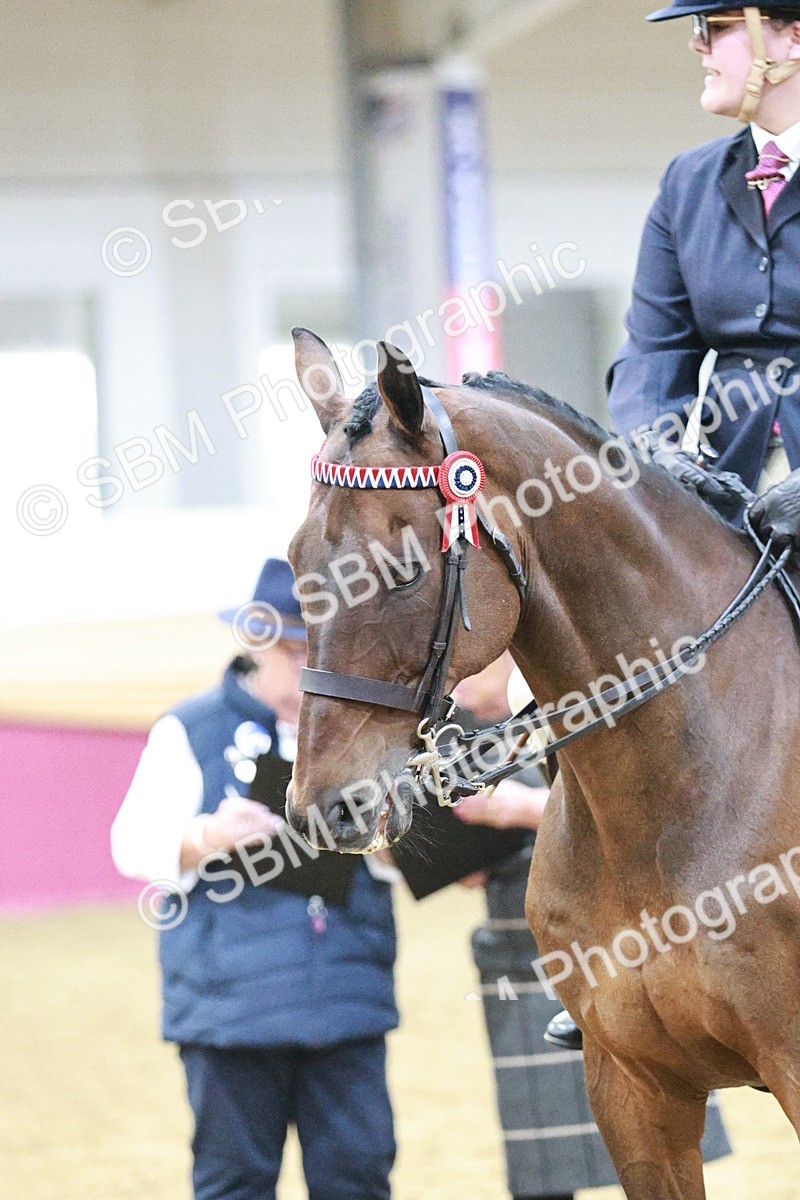 SBM_08153 - Class 11R - Regional Ridden Veteran