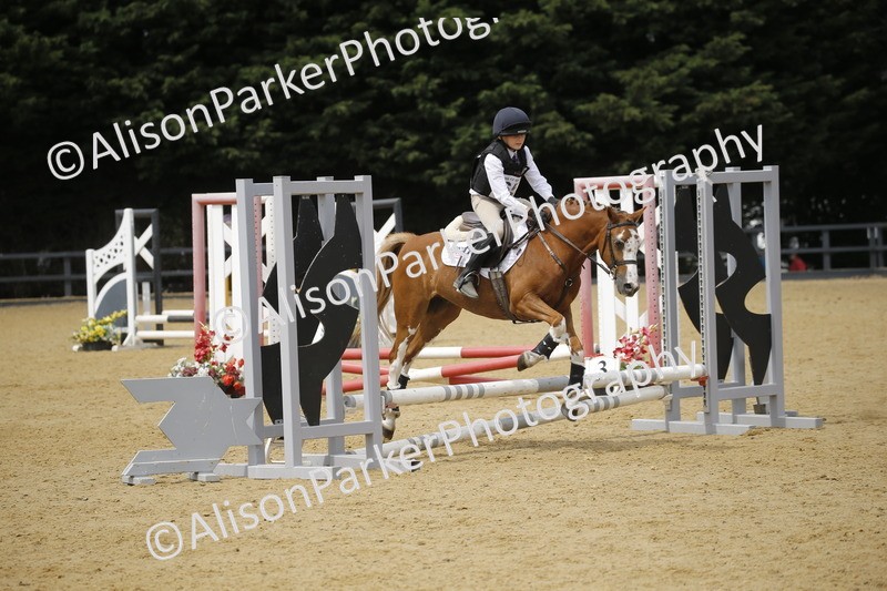 20250622-4642 - 50cm