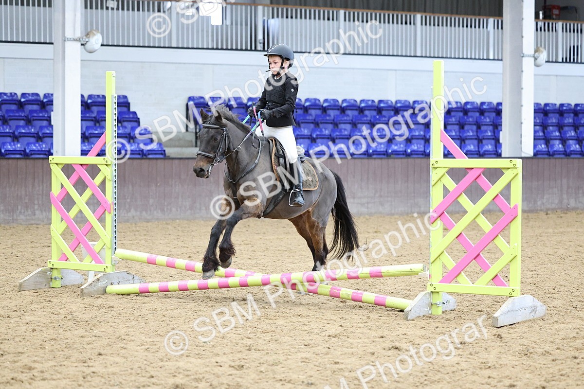 SBM_007060 - Class 1 - 40cm showjumping