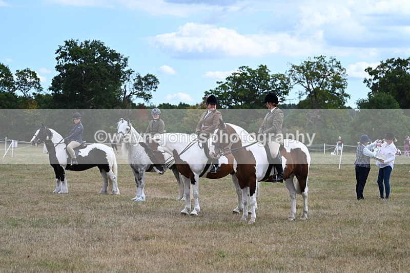 WJ7_5497 - Class 12 Ridden Cob