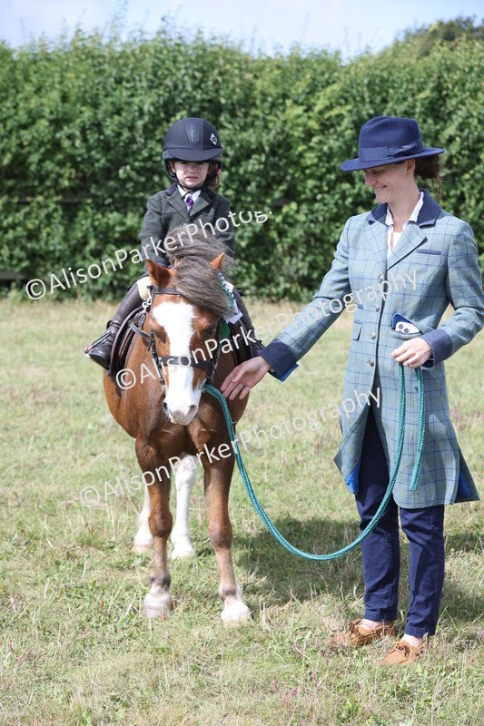 20250831-2752 - Class 17 - Lead Rein Pony