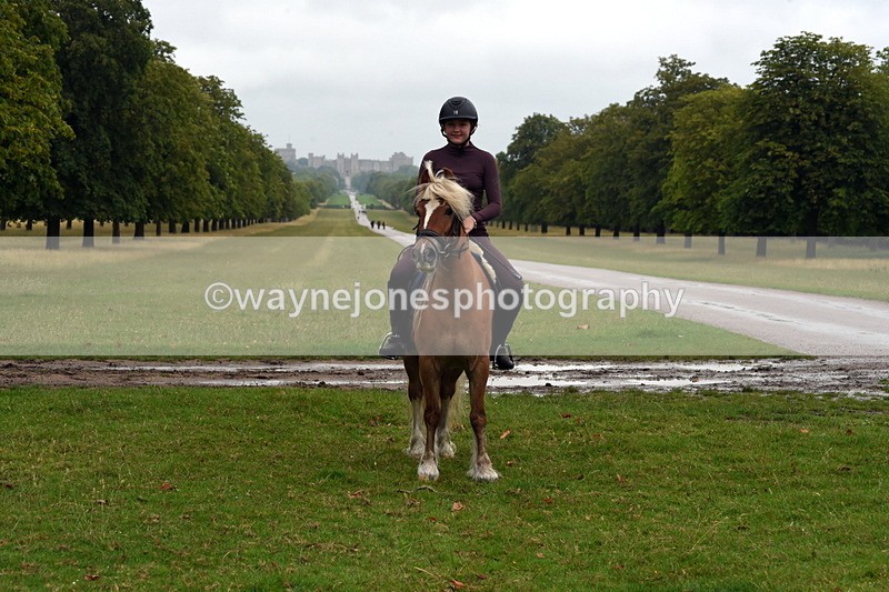 TT3_8106 - Time at Crossing 09:15 to 10:15