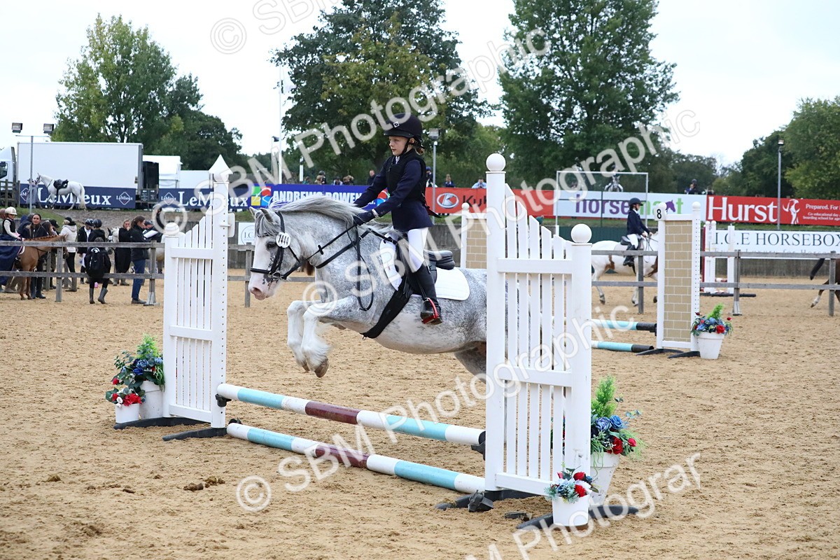 SBM_68349 - J3b - Mini Tour Junior Pony 40cm Championship