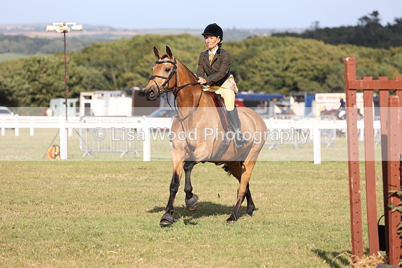 JPP_3186 - Class 21: Working Hunter 80cm