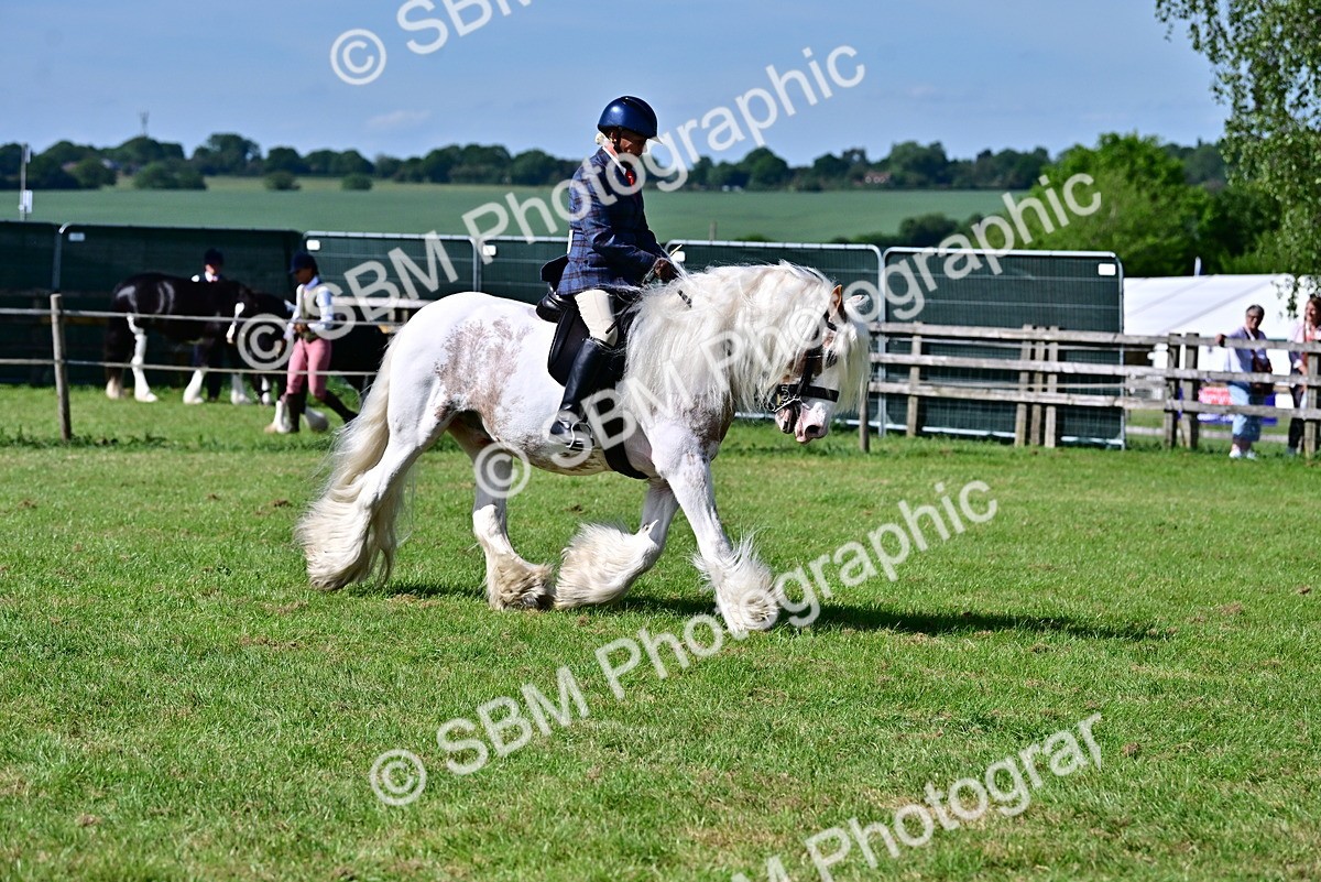 SBM_09393 - Class 63-65 - Traditional Gypsy Cobs In Hand & Ridden