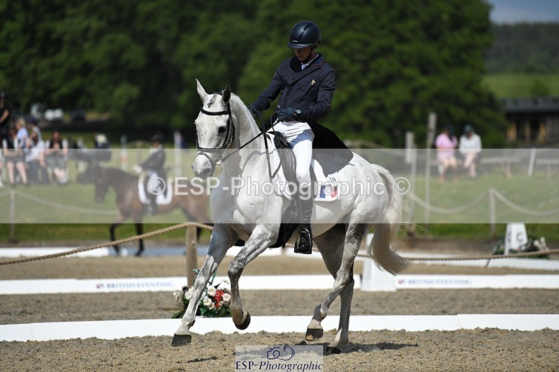 230525-103945-01760 - 314-CHANTILLY_AMATULLAH-Gaspard_Maksud-WEDTrotUp+DR