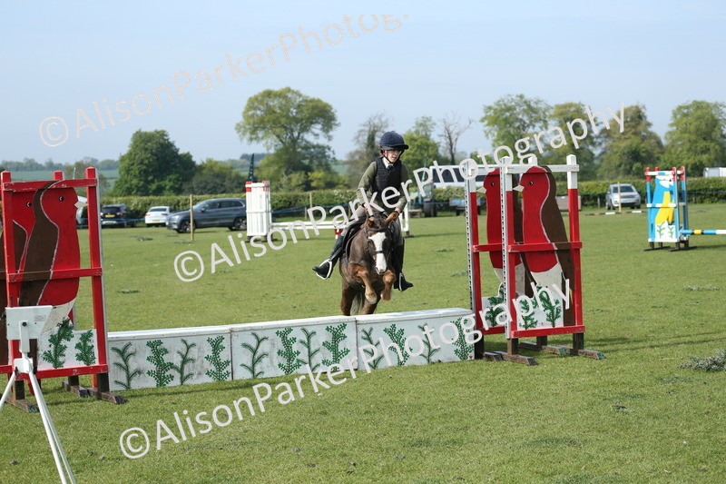 20260426-0227 - Class 13 - Rookie Jumping 50cm