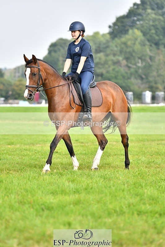 230817-093059-02569 - Abbie's 1st Group - Dressage