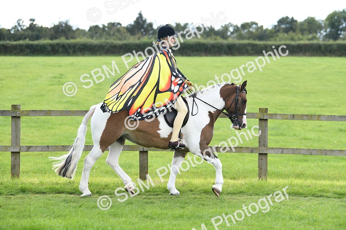 SBM_46745 - S12 - Family Horse & Pony