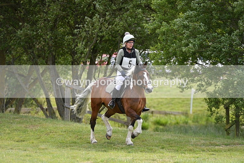 WJ5_2359 - Class 2 40cm