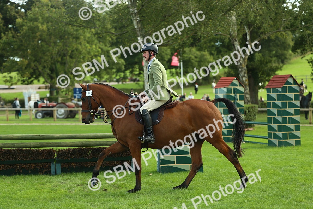 SBM_50744 - S33 - Working Hunter & Working Show Horse