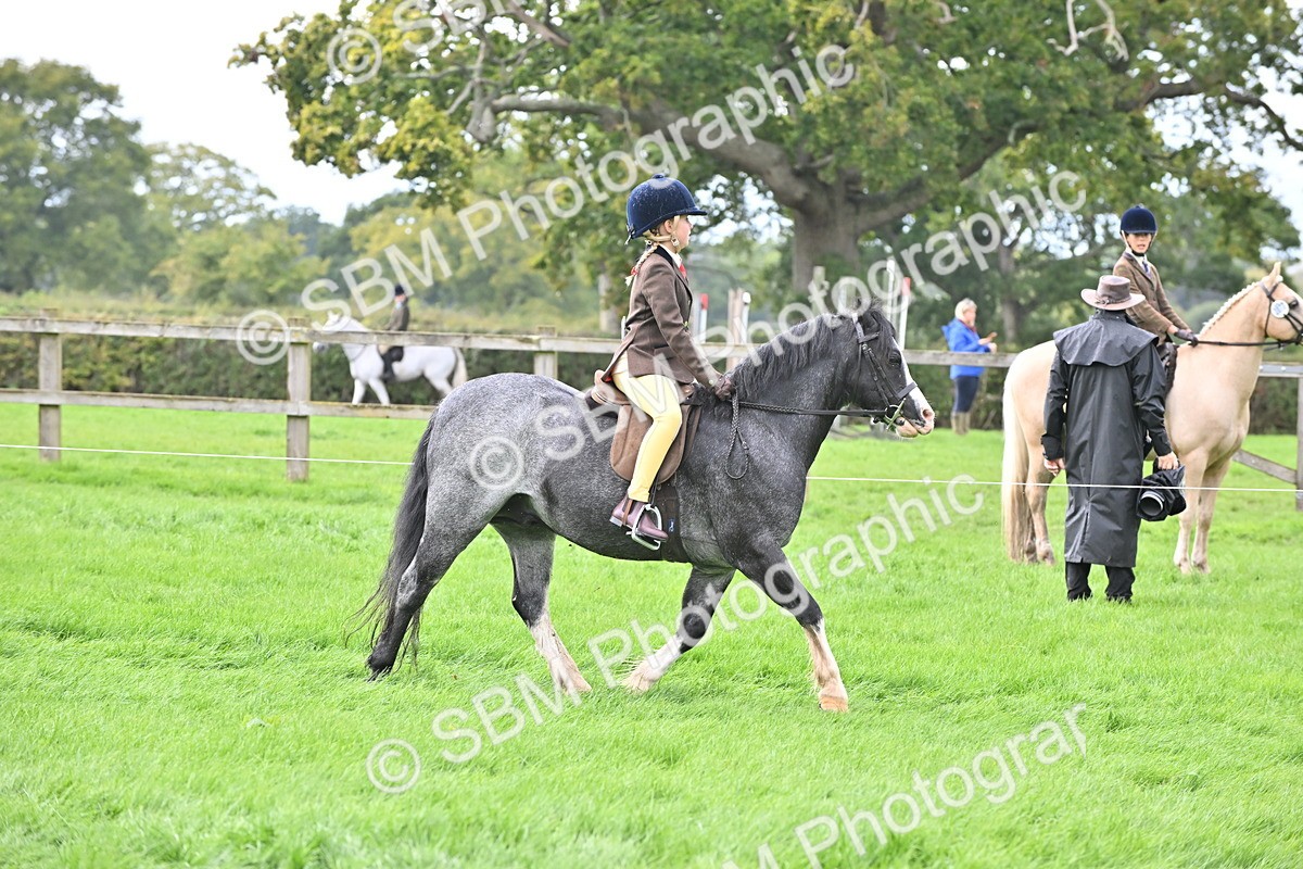 SBM_44467 - S13 - Pony Club Pony