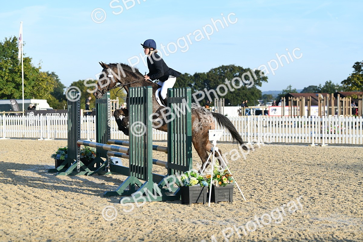 SBM_58026 - J24 - Junior Horse 75cm Championship