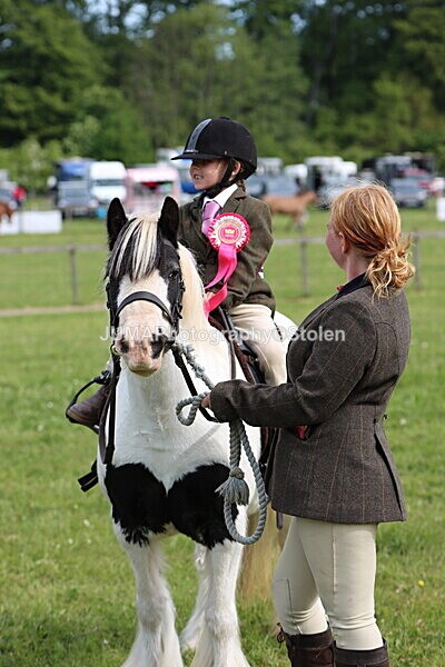 IMG_2348 - Working Hunter
