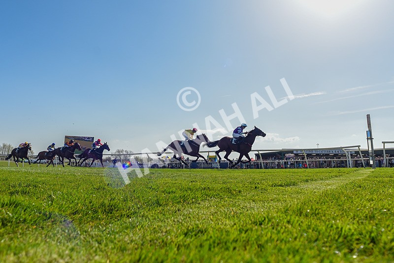 080426-Race 4-Evocative Spark-0030 - Race 4