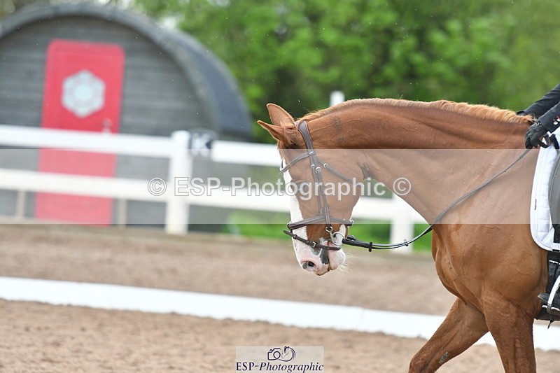 230511A-172803-01565 - Quest Cls 9 Novice