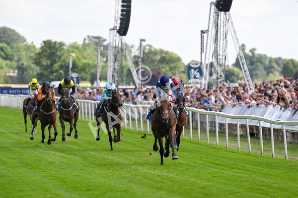 280625-Race 5-Turquino-0764 - Race 5 4.15pm Al Basti Equiworld Dubai Handicap