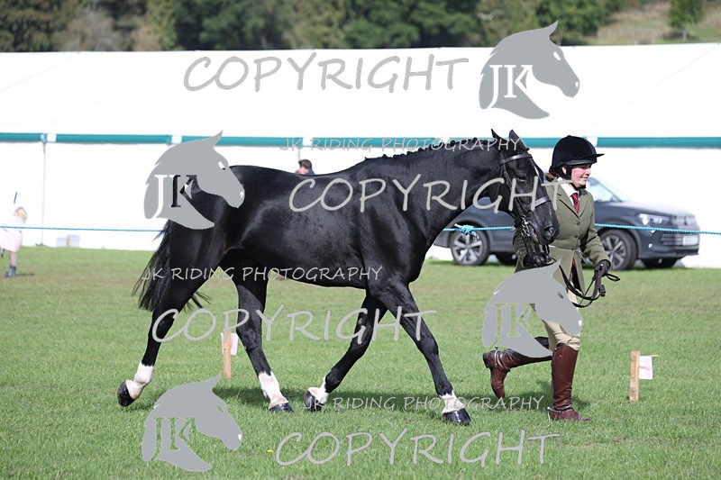 APP_2577 - Class 9 Veterans in hand