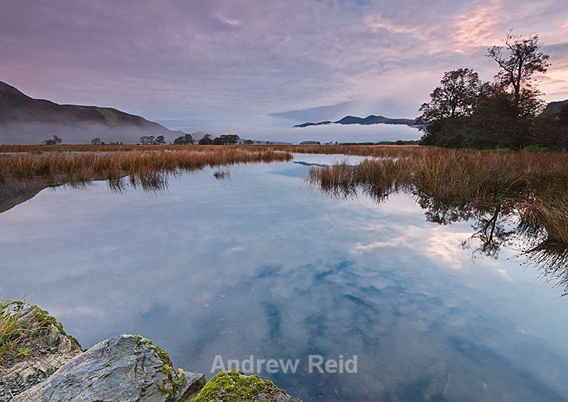 Good Morning - Landscapes