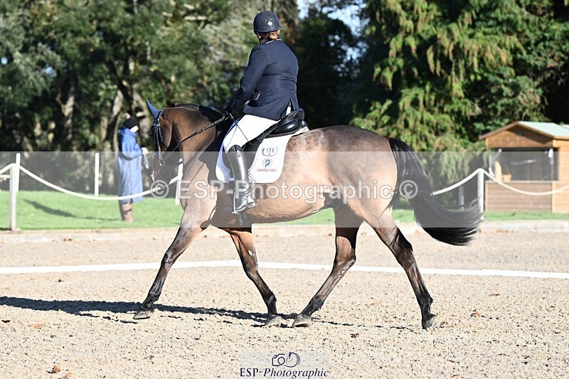 231110-133038-00969 - Cls 4 Novice 39Q