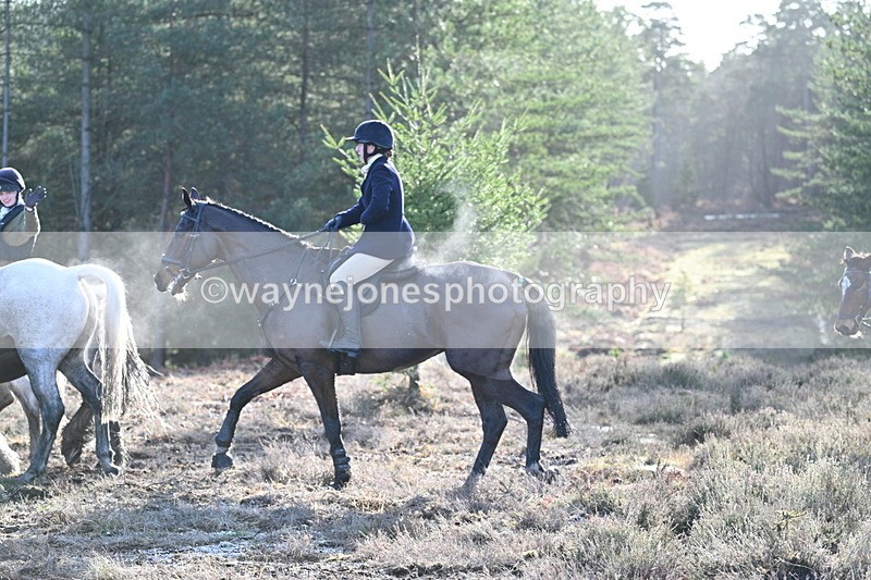 WJ7_7236 - Line 3 (no line 4 or 5)